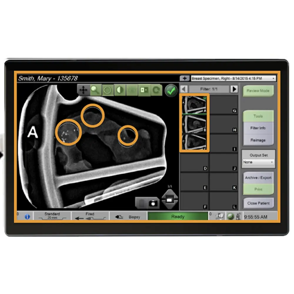 Brevera - immagine 3